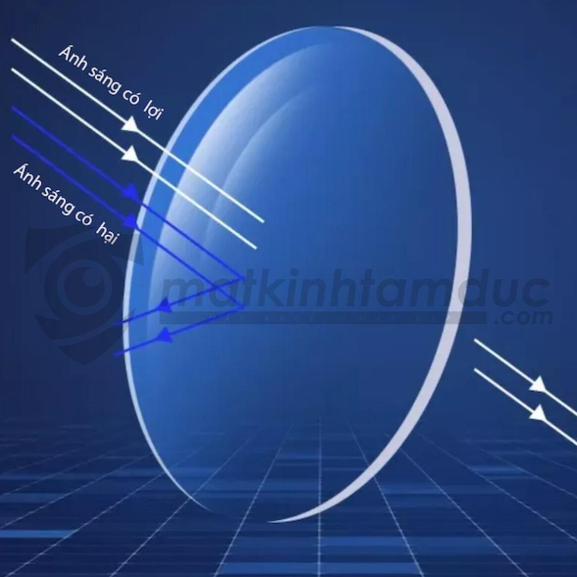 Tròng kính chống ánh sáng xanh: Bí quyết bảo vệ đôi mắt trong thời đại kỹ thuật số